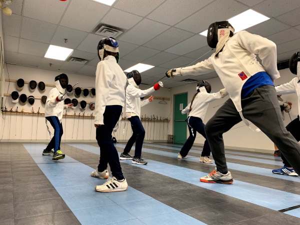 Fencing birthday -  France